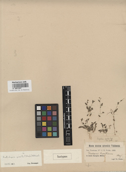 LE 00012897