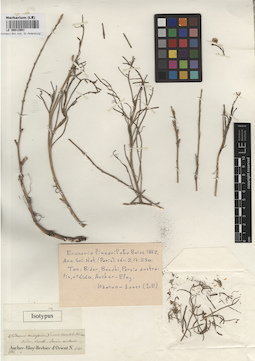 LE 00012901