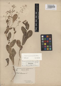 LE 00012903