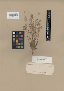 LE 00012908