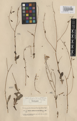 LE 00012927