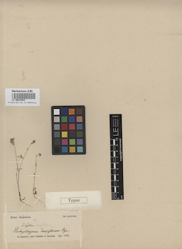 LE 00012934
