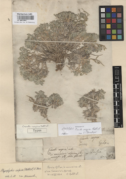 LE 00012941
