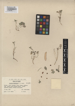 LE 00012951