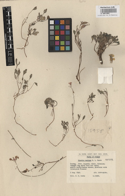 LE 00012952