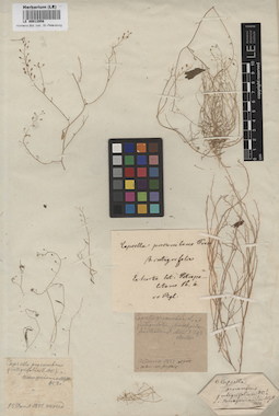 LE 00012956