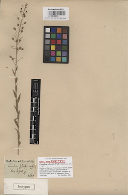 LE 00012958