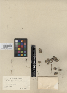 LE 00012964