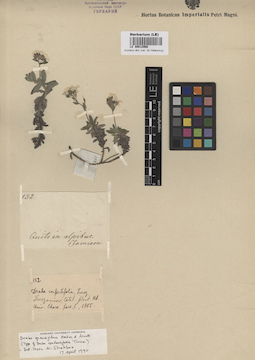 LE 00012966