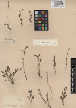 LE 00012968