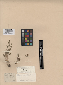 LE 00012969