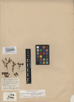 LE 00012970