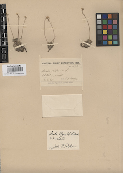 LE 00012971