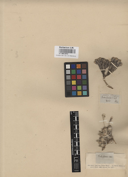 LE 00012972