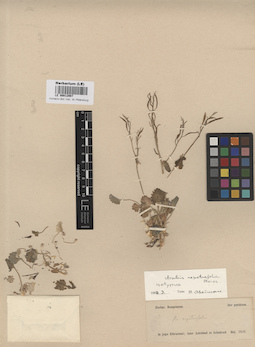 LE 00012987