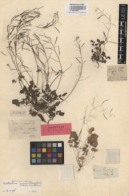 LE 00012988