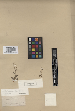 LE 00012992