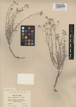 LE 00013016