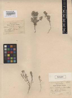 LE 00013024