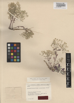 LE 00013025