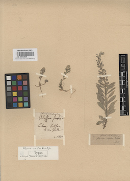 LE 00013026
