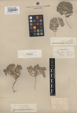 LE 00013027