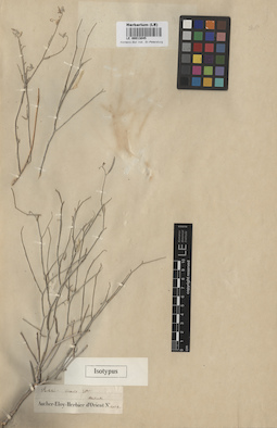 LE 00013045