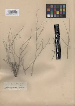 LE 00013046