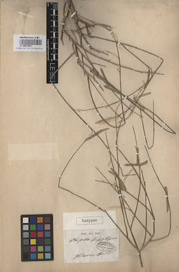LE 00013047