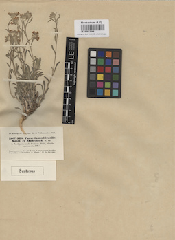 LE 00013048