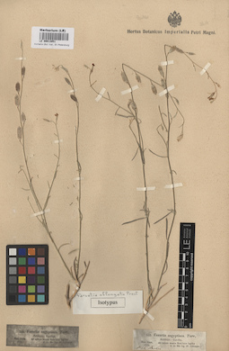 LE 00013051