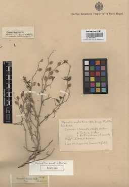 LE 00013053