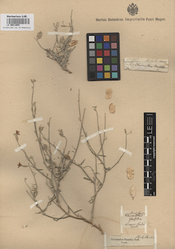LE 00013054