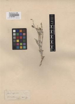 LE 00013056