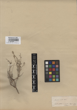 LE 00013057