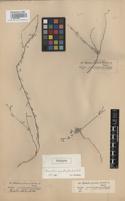 LE 00013060