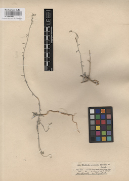 LE 00013061