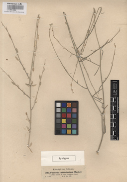 LE 00013062