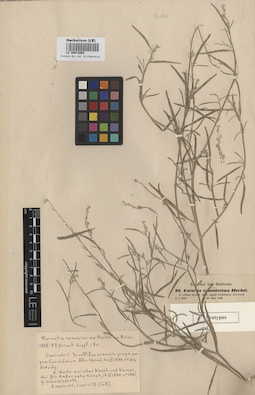 LE 00013064