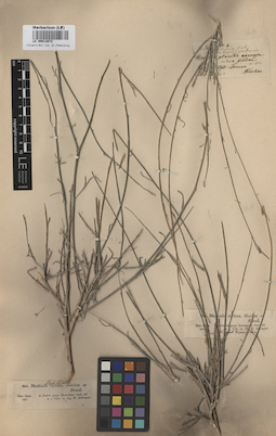 LE 00013072