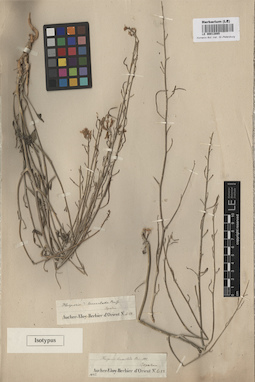 LE 00013085