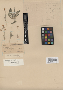 LE 00013097
