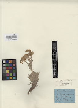 LE 00013108