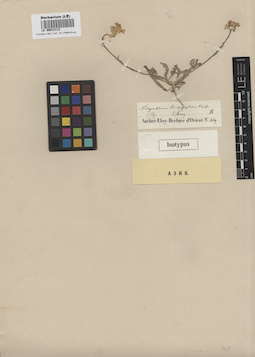 LE 00013112
