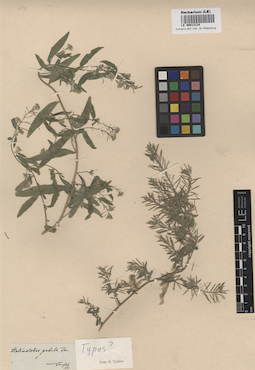 LE 00013124