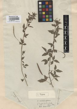 LE 00013127
