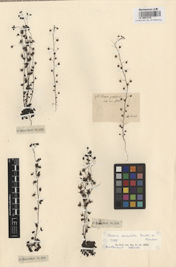 LE 00013178
