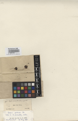LE 00013182