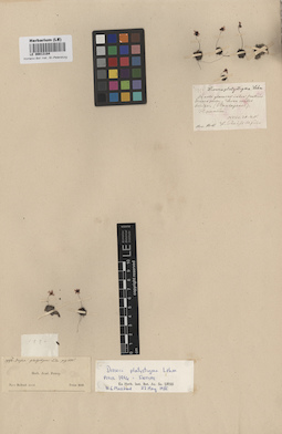 LE 00013184