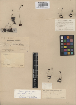 LE 00013186